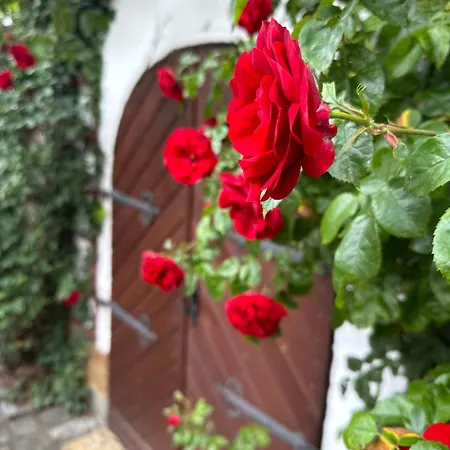 Cosy Historic Brewery With Beautiful Outdoor Space Rattelsdorf Exterior foto